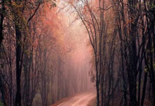 激情四射！欧国联赛点燃激情火焰，球员们全力以赴