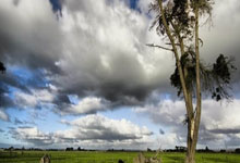 利物浦豪取胜利，久攻不下收获满载