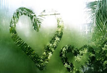 尼克斯全面获胜！纽约球队势不可挡