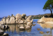 總督盃滿了願望，我家小欄裵集再戰